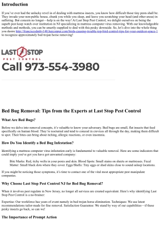 Bed Bug Removal: Tips from the Experts at Last Stop Pest Control