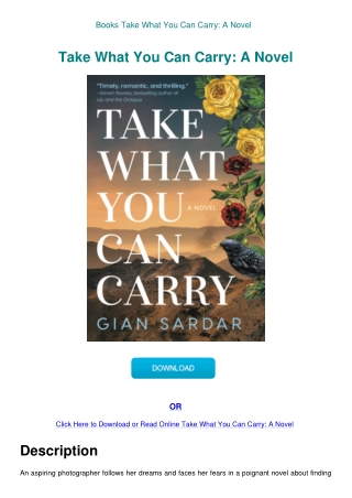Books Take What You Can Carry A Novel