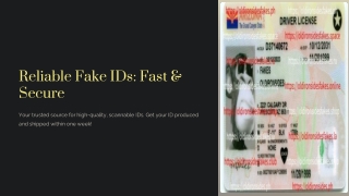 Reliable Fake ID Provider