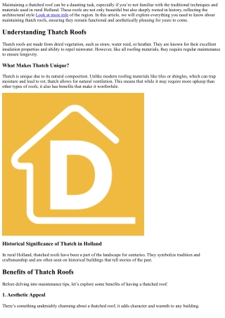 How to Maintain Thatch Roofs Commonly Found in Rural Holland