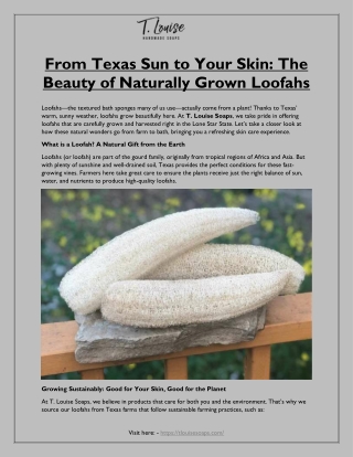 From Texas Sun to Your Skin: The Beauty of Naturally Grown Loofahs