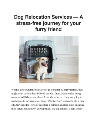 Dog Relocation Services | Dog Gone Taxi