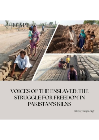 Voices of the Enslaved The Struggle for Freedom in Pakistan’s Kilns (1)