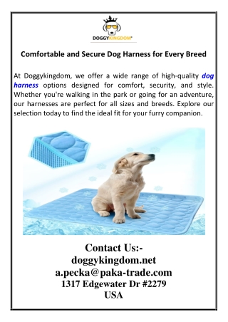Comfortable and Secure Dog Harness for Every Breed