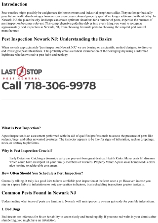 The Ultimate Guide to Pest Inspection in Newark, NJ: What You Need to Know