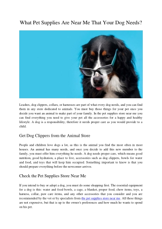 What Pet Supplies Are Near Me That Your Dog Needs