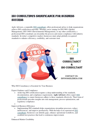 ISO Consulting's Significance for Business Success