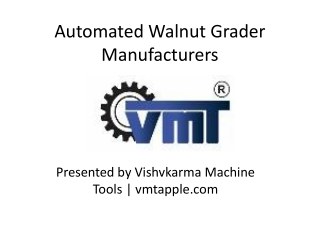 Automated Walnut Grader Manufacturers – Precision Sorting by VMTApple