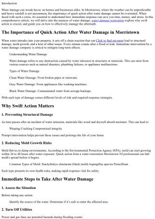 The Importance of Quick Action After Water Damage in Morristown