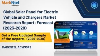 Solar Panel for Electric Vehicle and Chargers Market Share, Size
