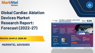 Global Cardiac Ablation Devices Market Research Report: Forecast (2022-27)