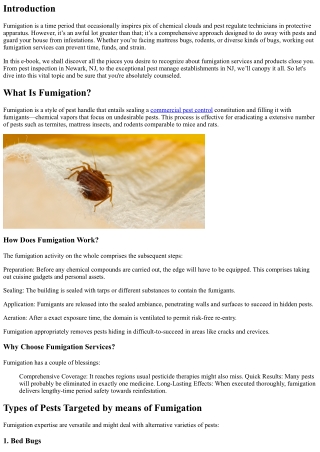 “Everything You Need to Know About Fumigation Services Near You”