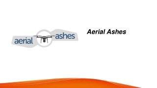 Nature Ashes Scattering Services in the UK for a Serene Farewell