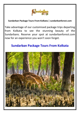 Sundarban Package Tours From Kolkata sundarbanforest.com