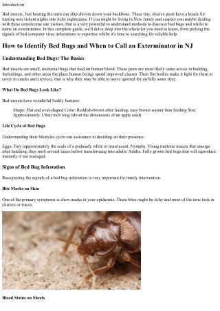 How to Identify Bed Bugs and When to Call an Exterminator in NJ