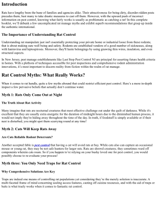 Rat Control Myths: What Really Works?