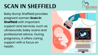 Scan in Sheffield