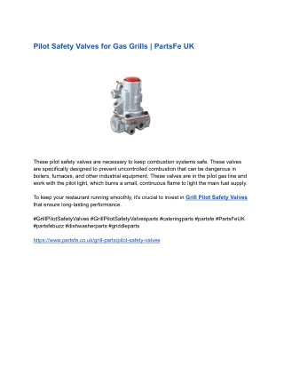 Pilot Safety Valves for Gas Grills _ PartsFe UK