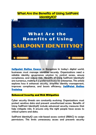 Best Sailpoint Online Course in Bangalore - Visualpath