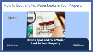 How to Spot and Fix Water Leaks in Your Property