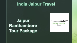 Jaipur Ranthambore Tour Package (3)