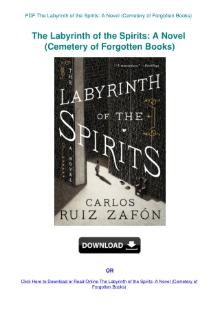 PDF The Labyrinth of the Spirits A Novel (Cemetery of Forgotten Books)
