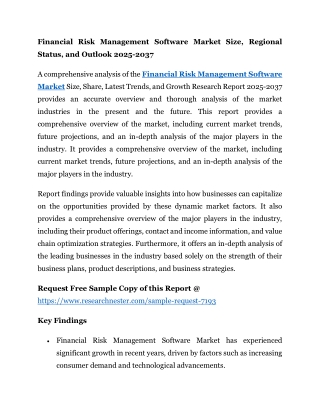 Financial Risk Management Software Market