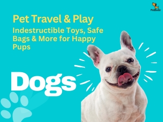 Pet Travel & Play: Indestructible Toys, Safe Bags & More for Happy Pups