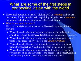 What are some of the first steps in connecting vision with the world