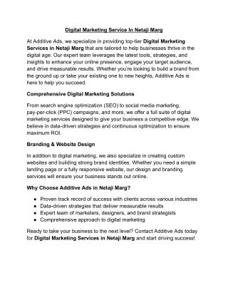 Digital Marketing Service In Netaji Marg