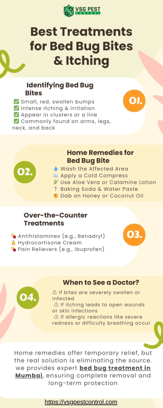 Best Treatments for Bed Bug Bites & Itching