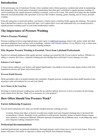 Why Regular Pressure Washing is Essential: Views from Lakeland Professionals