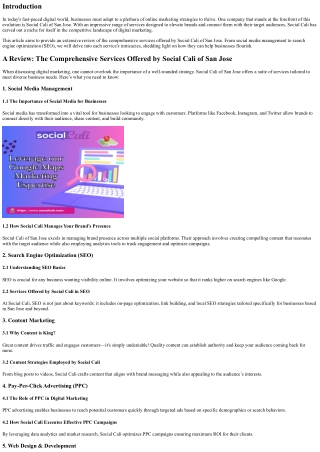 A Review: The Comprehensive Services Offered by Social Cali of San Jose