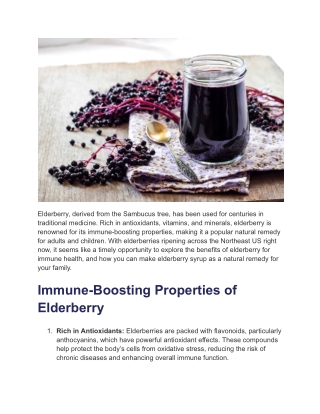 Benefits of Elderberry for Immune Health in Adults and Children