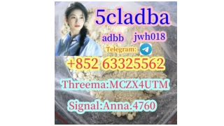 5cl adb 5cladba 5cl raw material supplier