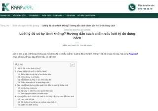 Loét tỳ đè có tự lành không? Hướng dẫn cách chăm sóc loét tỳ đè đúng cách