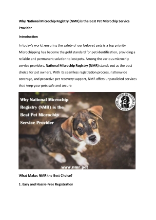 Why National Microchip Registry NMR is the Best Pet Microchip Service Provider