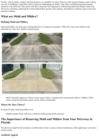 The Importance of Removing Mold and Mildew from Your Driveway in Florida