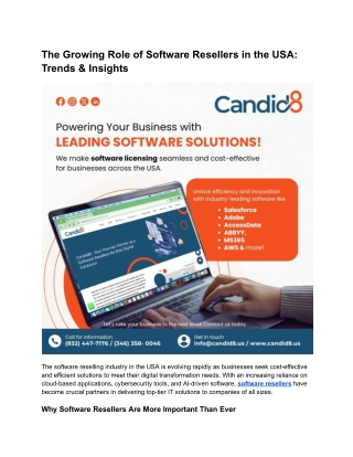 The Growing Role of Software Resellers in the USA_ Trends & Insights