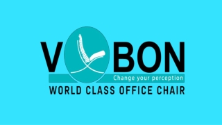 Budget vs Premium Office Chairs Which is Best