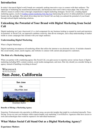 Unleashing the Potential of Your Brand with Digital Marketing from Social Cali.