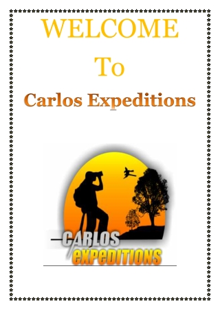 Eco Jungle Tours for Nature Lovers- Wildlife, Culture, and Adventure in the Amazon