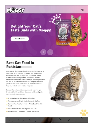 Overview of Cat Food Prices in Pakistan