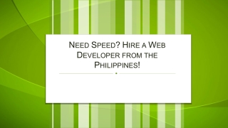 Need Speed Hire a Web Developer from the Philippines!