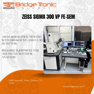 Zeiss Sigma 300 VP FE-SEM