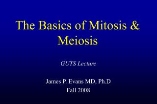 The Basics of Mitosis &amp; Meiosis