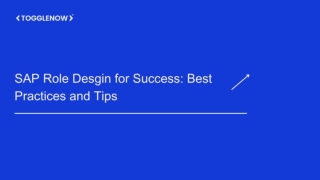 SAP Role Desgin for Success Best Practices and Tips