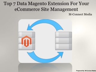 Top 7 Data Magento Extension For Your eCommerce Site Managem