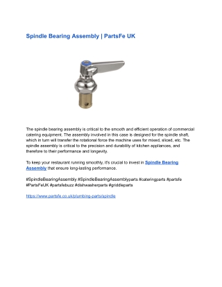 Spindle Bearing Assembly _ PartsFe UK