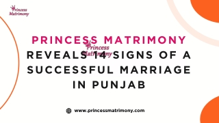 Princess Matrimony Reveals 14 Signs of a Successful Marriage in Punjab